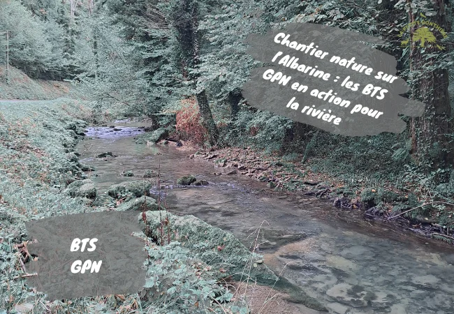 00 Chantier nature sur lAlbarine les BTS GPN en action pour la rivi re