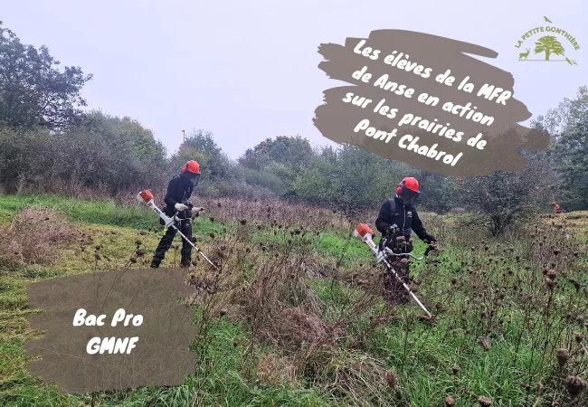 00 chantier bac pro gmnf orientation nature faune flore gestion