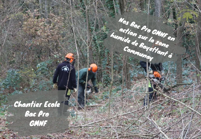 00 chantier bac pro gmnf