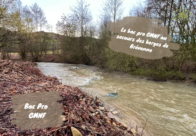 00 chantier gmnf nature