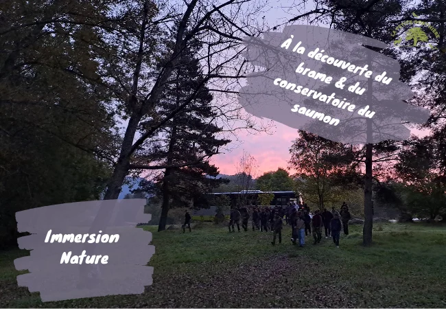 00 photo brame bac pro gmnf
