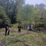 01 chantier bac pro gmnf orientation nature faune flore gestion