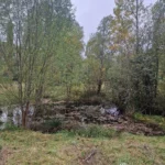 02 chantier bac pro gmnf orientation nature faune flore gestion