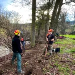 02 chantier gmnf