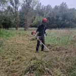 03 chantier bac pro gmnf orientation nature faune flore gestion