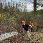 03 chantier gmnf