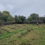 04 chantier bac pro gmnf orientation nature faune flore gestion