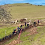 04 chantier gmnf