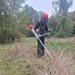 05 chantier bac pro gmnf orientation nature faune flore gestion