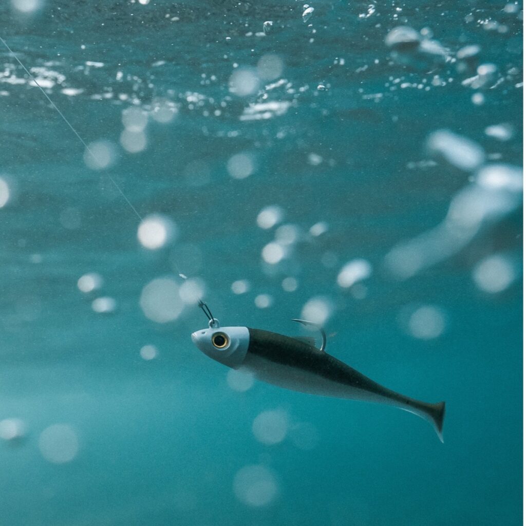 Guide de pêche