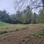 10 chantier bac pro gmnf orientation nature faune flore gestion