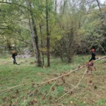 11 chantier bac pro gmnf orientation nature faune flore gestion