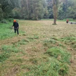 13 chantier bac pro gmnf orientation nature faune flore gestion