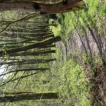 17 04 07 milieux naturels