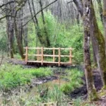 17 04 07 passerelle genie vegetal