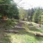 2017 06 05 vercors gmnf abattage 05