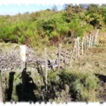 2018 10 11 chantier ecole gmnf tressage 01