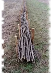 2018 11 23 fascinage genie vegetal 03