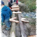 2018 12 12 passerelle smagga pose genie vegetal