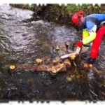 2019 10 31 genie vegetal technicien riviere sainte foy 03