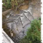 2019 10 31 genie vegetal technicien riviere sainte foy 05