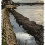 2019 12 20 genie vegetal gabion lyon 03
