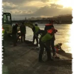 2019 12 20 genie vegetal gabion lyon panorama 01