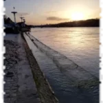 2019 12 20 genie vegetal gabion lyon panorama 03