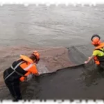 2019 12 20 genie vegetal gabion lyon riviere 02