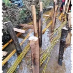 2020 11 17 genie vegetal chantier ecole