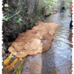 2020 11 17 genie vegetal filtre a paille