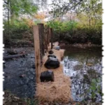 2020 11 17 genie vegetal filtre paille