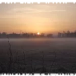 2021 03 14 affut eleve gmnf 02