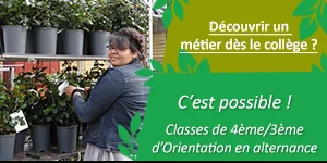 4eme 3eme orientation alternance
