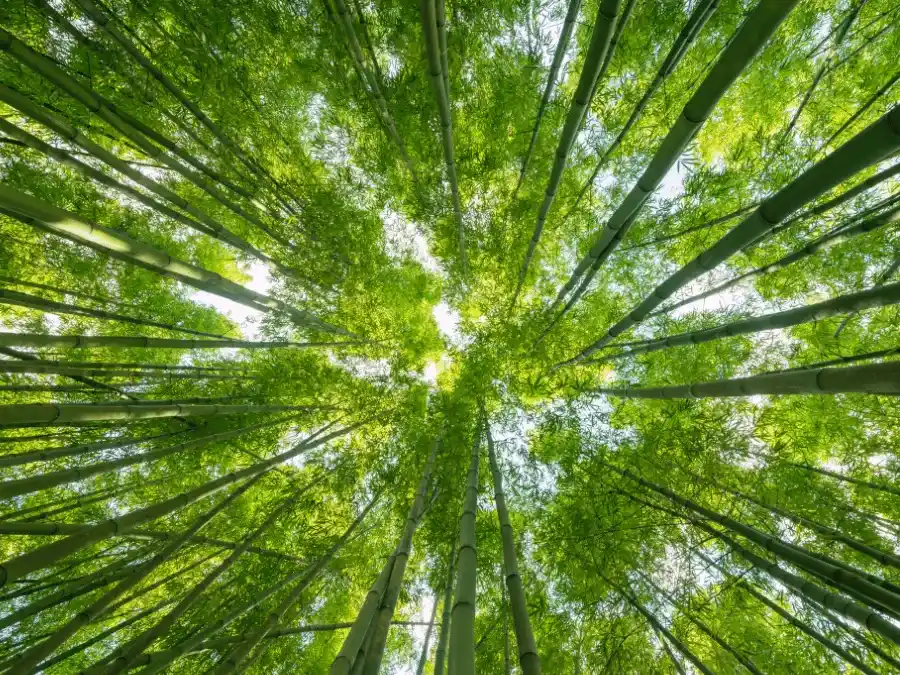 Devenir animateur nature