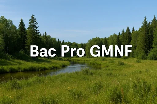 Bacprogmfdef
