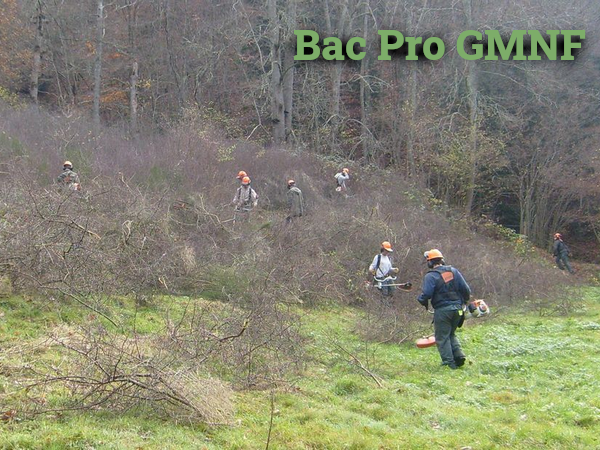 actu gestion milieux naturels chantier global