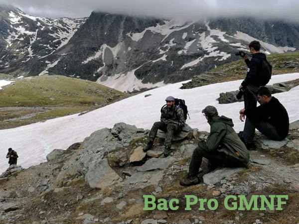 actu gestion protection nature global