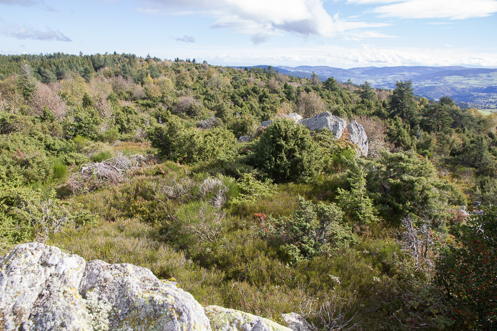Technicien en gestion au Conservatoire des Espaces Naturels