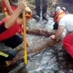 bts gpn gestion techniques am nagements nature riviere 2
