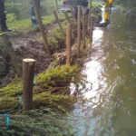 cs tmge genie ecologique