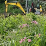 cs tmge gestion milieu naturels faune