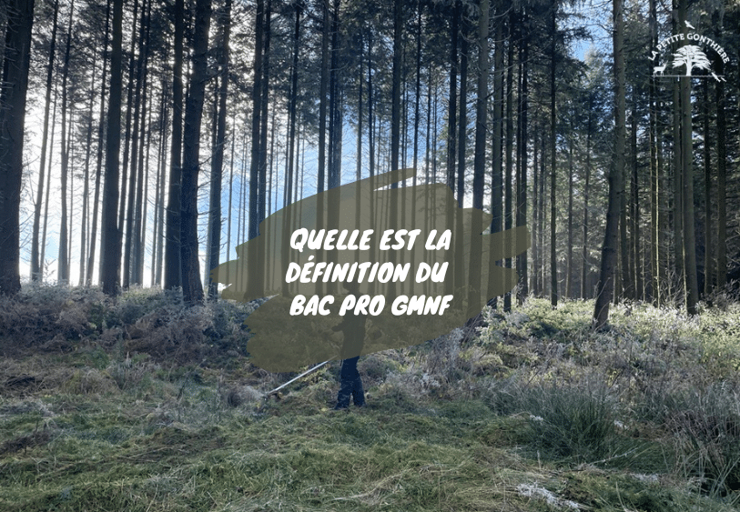 definition bac pro gmnf