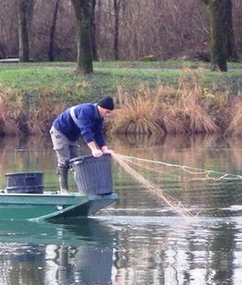 Pêcheur professionnel