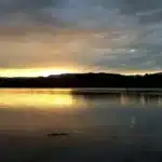 florestan 04