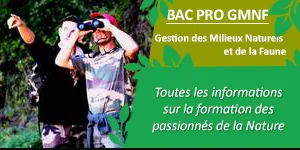 gmnf bac pro gestion milieux naturels faune