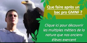 gmnf bac pro metiers debouche anciens eleves