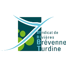 logo syribt