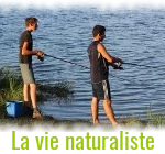 mini naturalisme