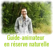 mini pierrick